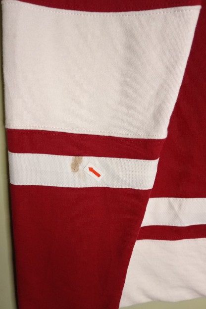 Champion Red & White Indiana Jumper